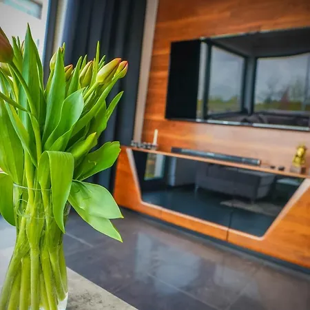 Lemmas Anchoria * Mechelinki