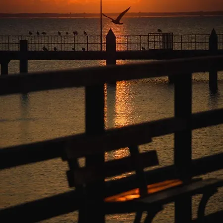 Lemmas Anchoria מחלינקי