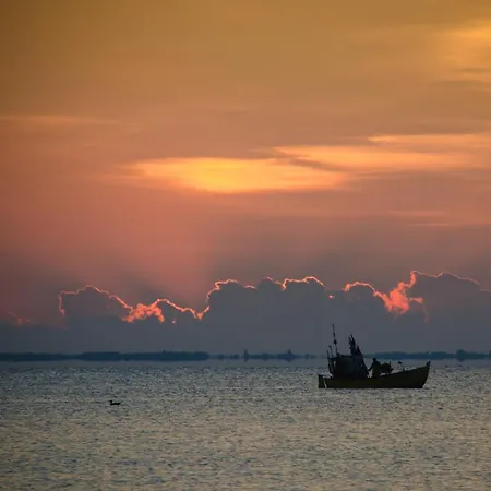 דירה Lemmas Anchoria *