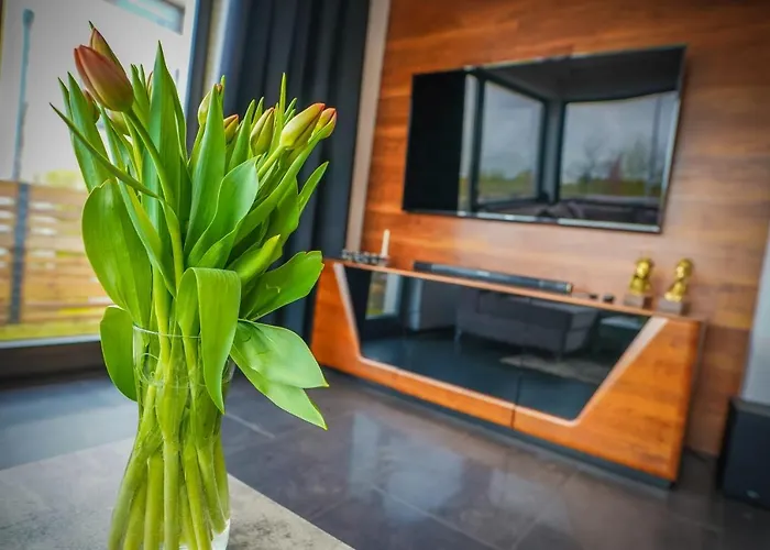 Lemmas Anchoria * Мехелинки