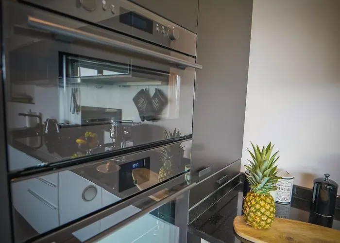 Lemmas Anchoria Мехелинки